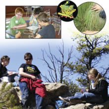 Collage of students observing ecosystems from Project GUTS webpage