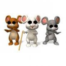 Three blind mice image from lehighvalleyramblings.blogspot.com