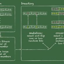 population biology model